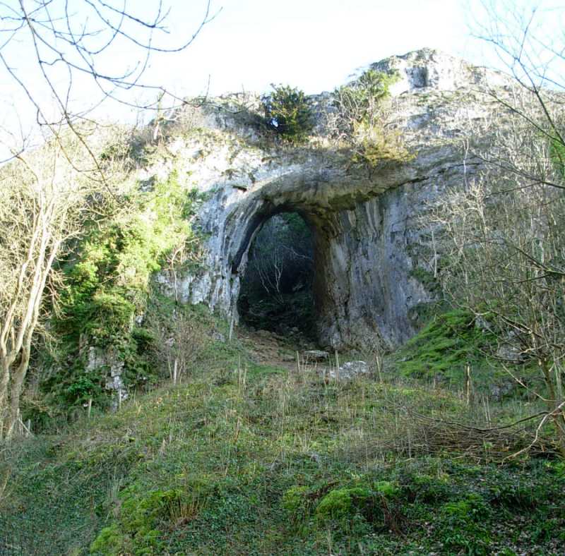 Reynard's Cave